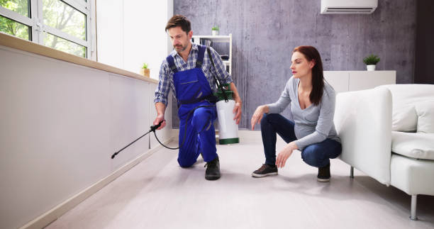 Best Pest Prevention Services  in Cut Bank, MT